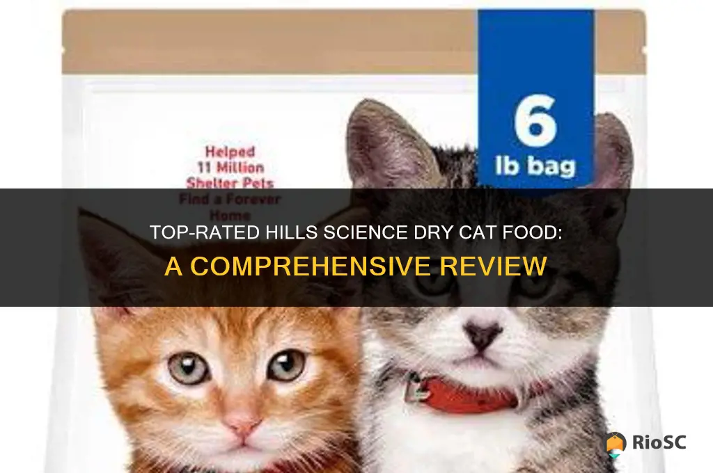best rated hills science dry cat food