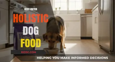 Top-Rated Holistic Dog Food Brands for Optimal Canine Health and Wellness