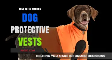 Top-Rated Hunting Dog Protective Vests: Ultimate Safety Gear for Your Canine Companion