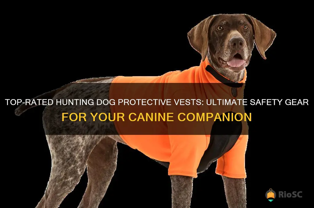 best rated hunting dog protective vests