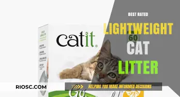 Top-Rated Lightweight Cat Litter Options for Easy Cleaning and Odor Control