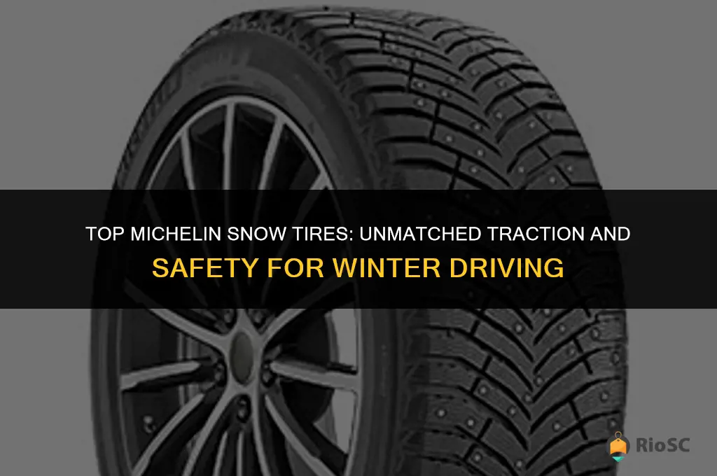 best rated michelin snow tires