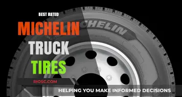 Top-Rated Michelin Truck Tires: Unmatched Performance and Durability for Heavy-Duty Vehicles