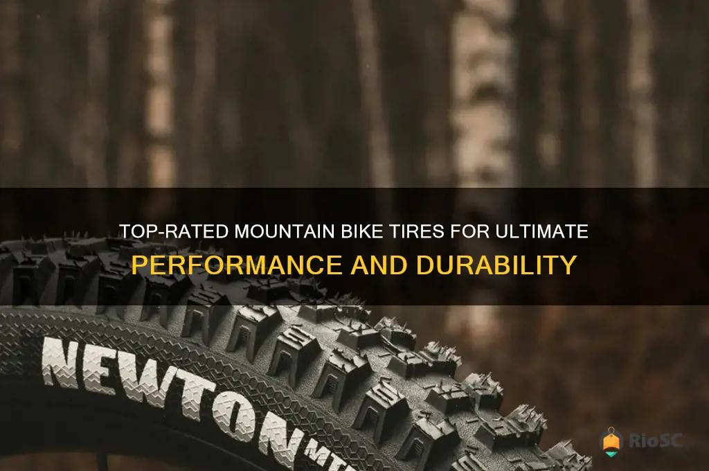 best rated mtn bike tires
