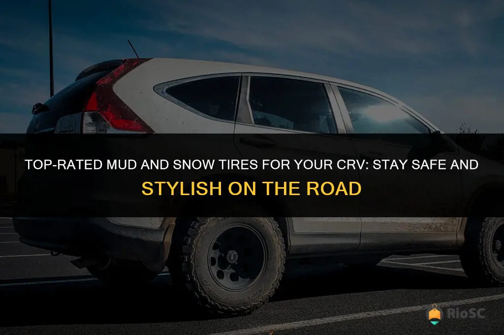 best rated mud & snow tires crv