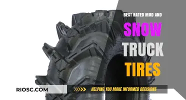 Top-Rated Mud and Snow Truck Tires: Ultimate Performance for Extreme Conditions