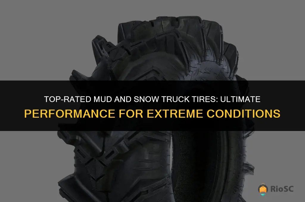 best rated mud and snow truck tires