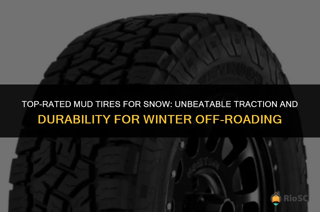 best rated mud tires for snow