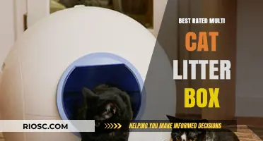 Top-Rated Multi-Cat Litter Boxes: Finding the Perfect Solution for Your Feline Family