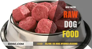 Top-Rated Raw Dog Food Brands: Nutritious and Safe Options for Your Canine Companion