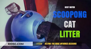 Top-Rated Scooping Cat Litter: Expert Picks for Odor Control and Easy Cleaning