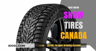 Top-Rated Snow Tires in Canada: Stay Safe and Mobile This Winter