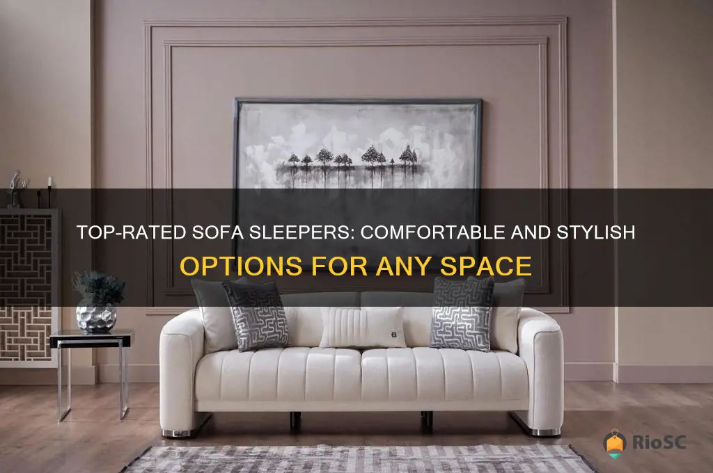 best rated sofa sleepers