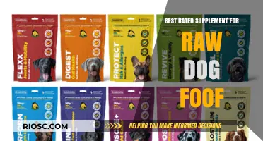 Top-Rated Supplements to Enhance Your Raw Dog Food Diet