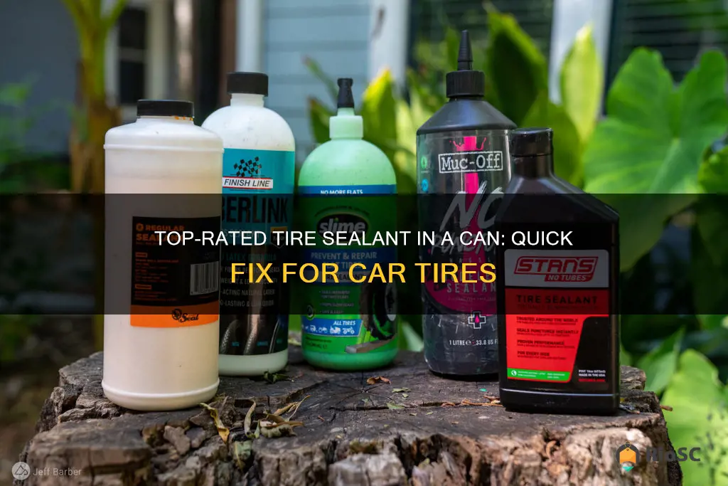 best rated tire sealant in a can for car tires