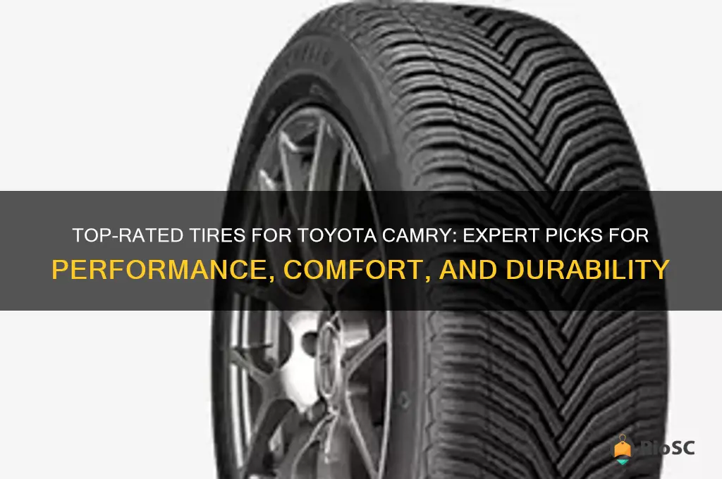 best rated tires for toyota camry