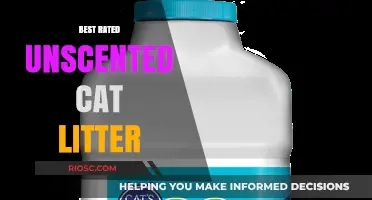 Top-Rated Unscented Cat Litter: Odor-Free Solutions for a Fresh and Clean Home