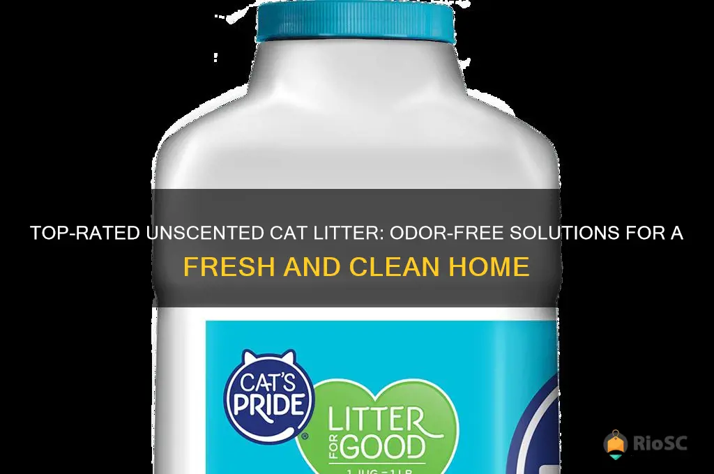 best rated unscented cat litter