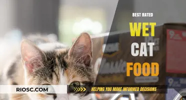 Top-Rated Wet Cat Food: A Comprehensive Guide to the Best Options for Your Feline Friend
