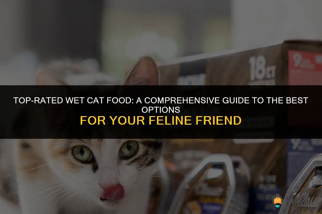 best rated wet cat food