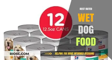 Top-Rated Wet Dog Food: Nutritious and Delicious Options for Your Canine Companion