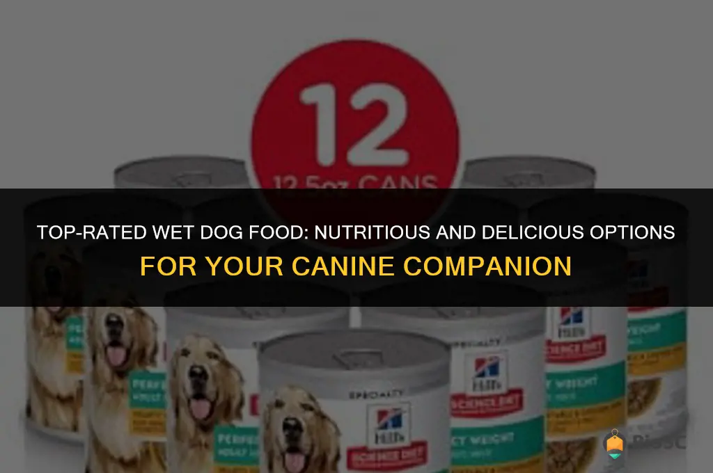 best rated wet dog food