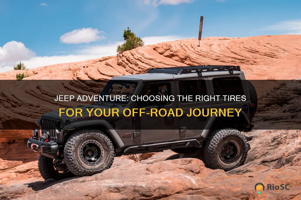 best rates jeep tires