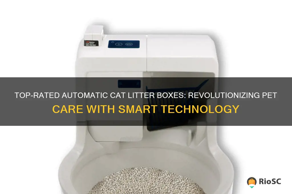 best rating automatic cat litter box