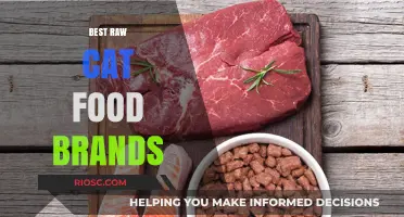 Top-Rated Raw Cat Food Brands: A Comprehensive Guide for Feline Nutrition