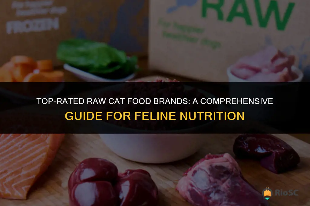 best raw cat food brands