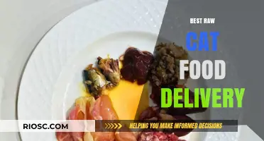 Top Picks for Raw Cat Food Delivery: A Comprehensive Guide for Pet Owners