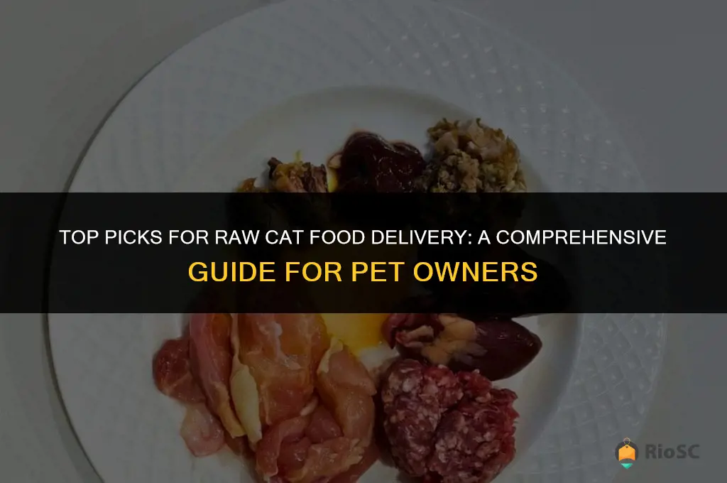 best raw cat food delivery