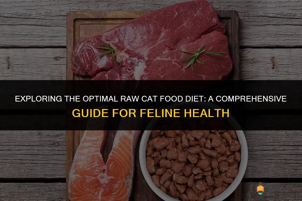 best raw cat food diet