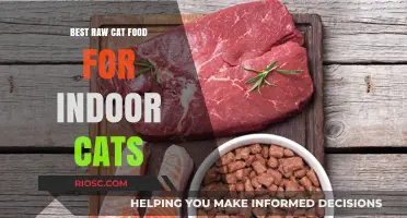 Top Picks for Raw Cat Food: Nourishing Indoor Felines with Natural Diets