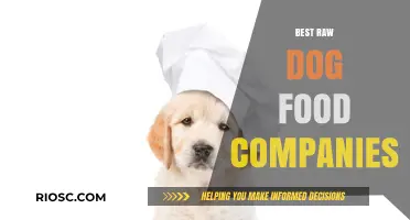 Top-Rated Raw Dog Food Brands: A Comprehensive Guide to the Best Companies for Your Canine's Nutrition