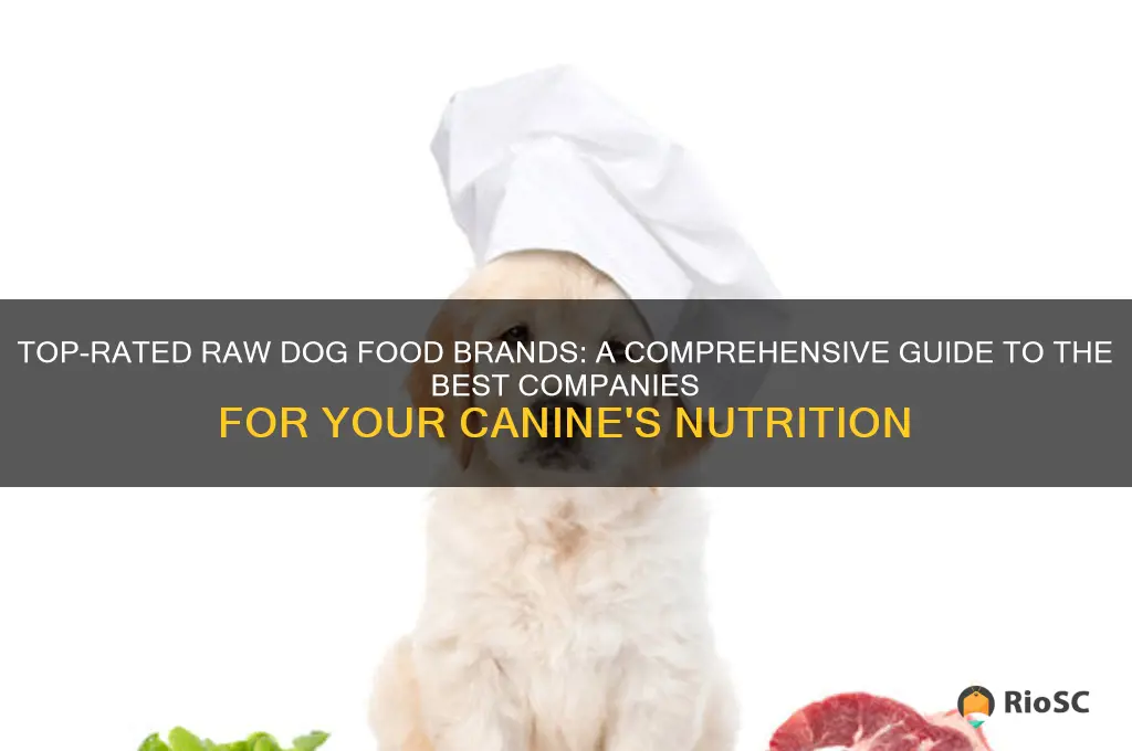 best raw dog food companies