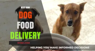 Top Picks for Raw Dog Food Delivery: Fresh, Nutritious Meals for Your Furry Friend