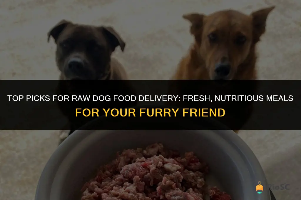 best raw dog food delivery