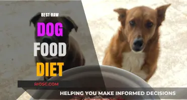 Exploring the Benefits of a Raw Dog Food Diet: A Comprehensive Guide for Pet Owners