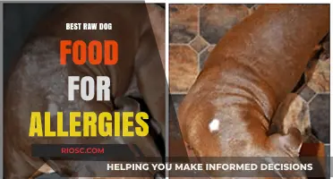 Natural Relief: Top Raw Dog Food Options to Combat Allergies