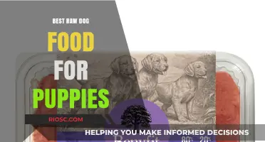 Nourishing Your Growing Pup: Top Raw Dog Food Options for Puppies