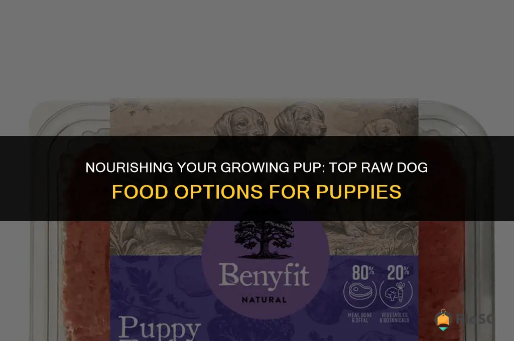 best raw dog food for puppies