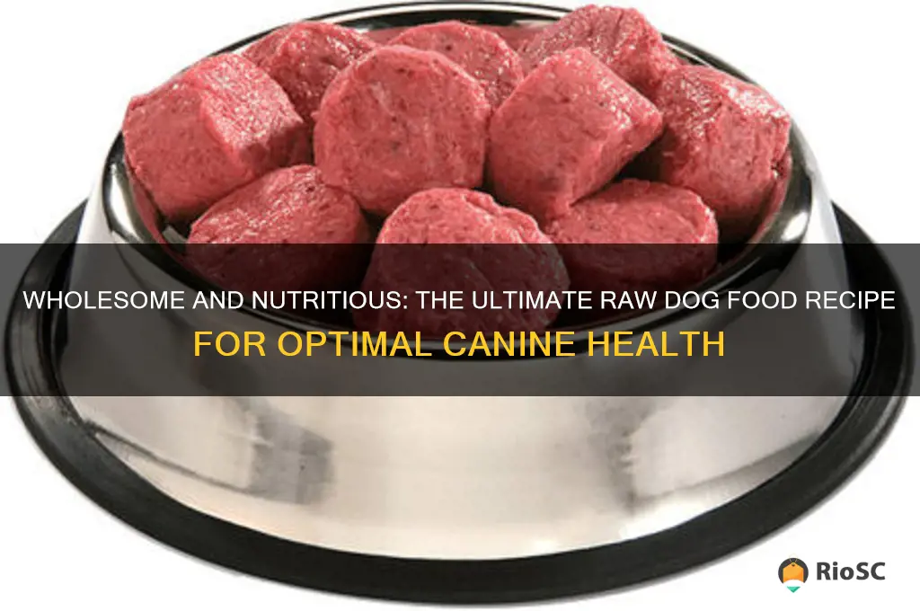 best raw dog food recipe