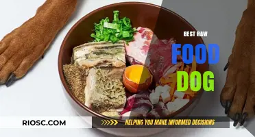 Exploring the Benefits of a Raw Food Diet for Your Canine Companion