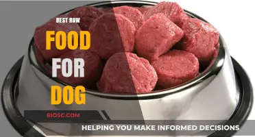 Nutritious and Natural: Top Raw Food Options for Your Dog's Optimal Health