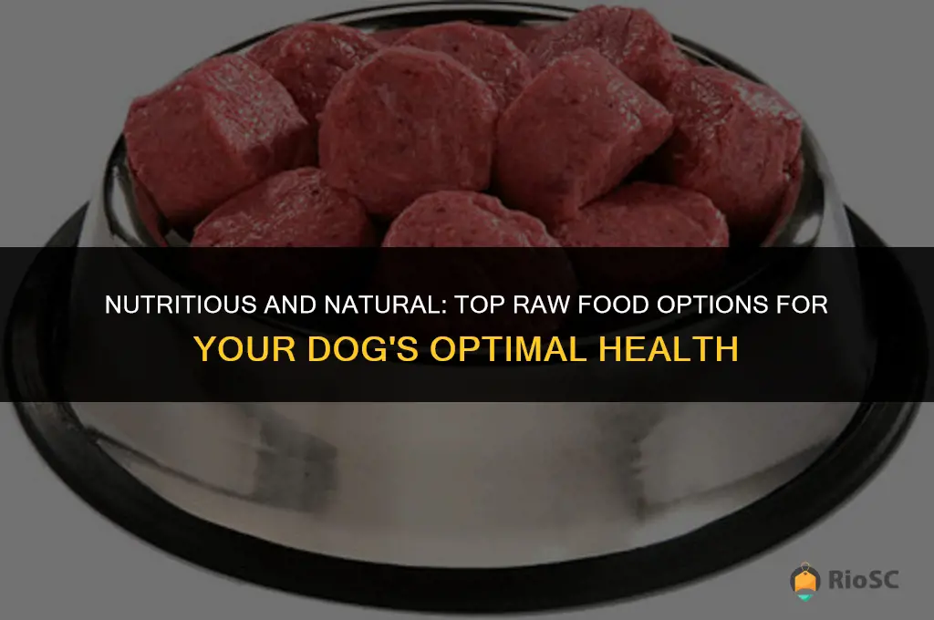 best raw food for dog