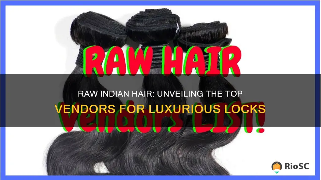 best raw indian hair vendors