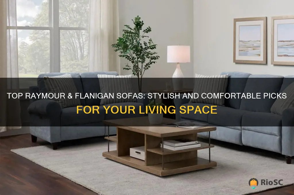 best raymour and flanigan sofa