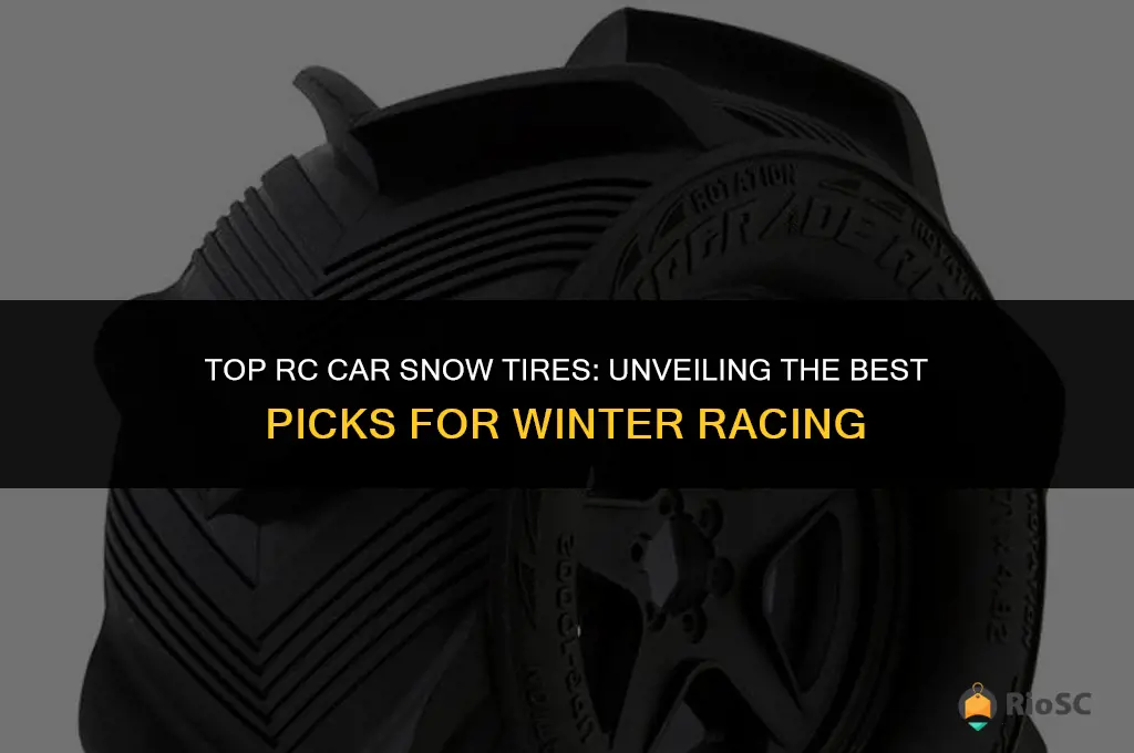 best rc car snow tires