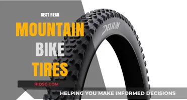 Top-Rated Rear Mountain Bike Tires for Optimal Performance and Durability